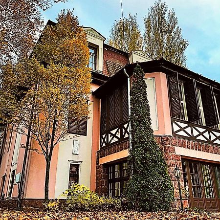 Party Villa Holiday Rent Balatonföldvár Exteriör bild