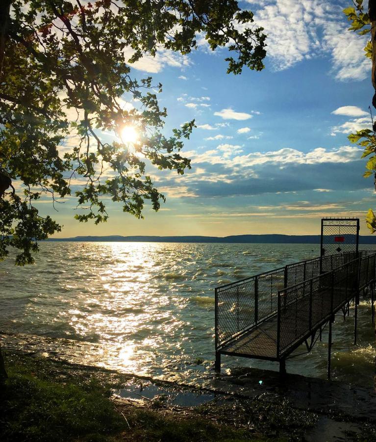 Party Villa Holiday Rent Balatonföldvár Exteriör bild