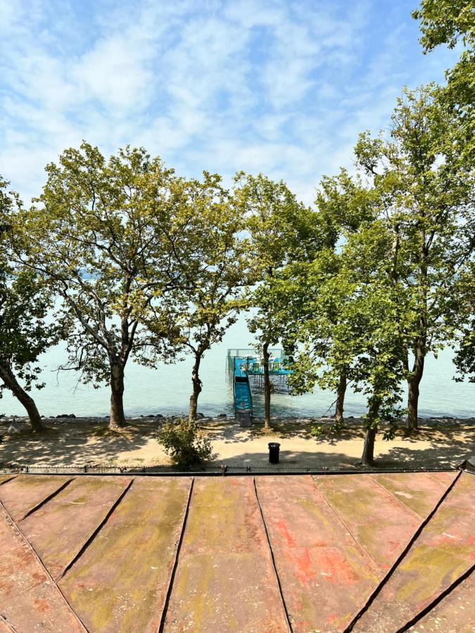Party Villa Holiday Rent Balatonföldvár Exteriör bild