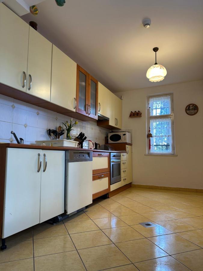 Party Villa Holiday Rent Balatonföldvár Exteriör bild