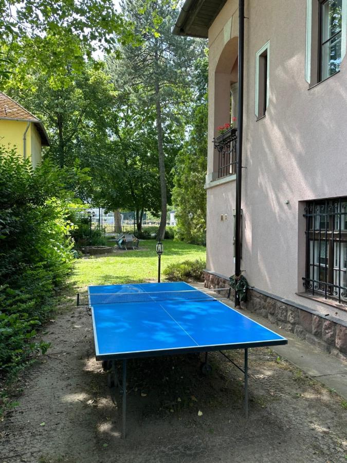 Party Villa Holiday Rent Balatonföldvár Exteriör bild