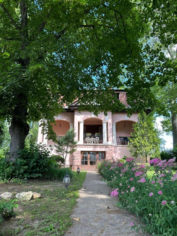 Party Villa Holiday Rent Balatonföldvár Exteriör bild
