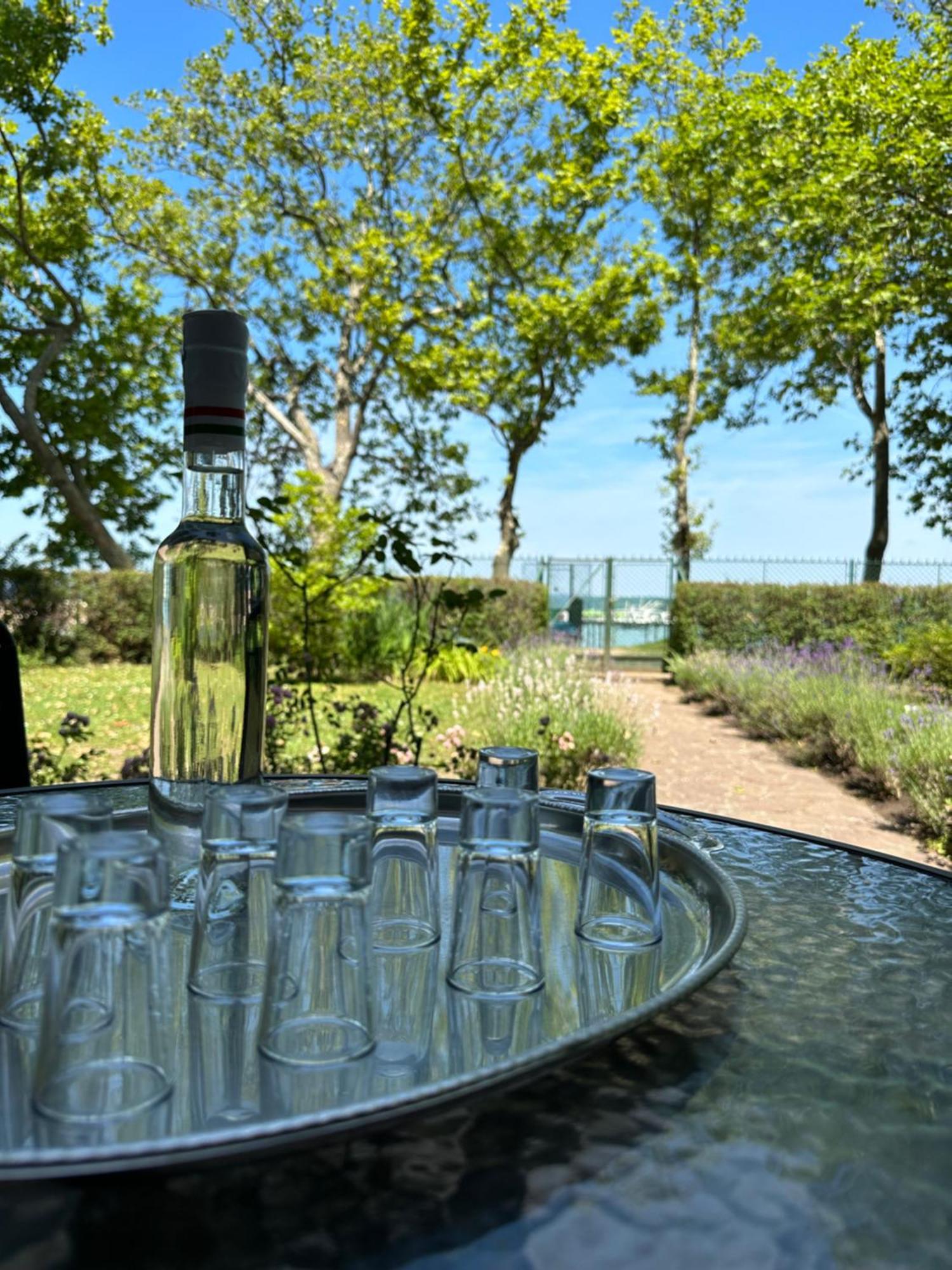 Party Villa Holiday Rent Balatonföldvár Exteriör bild